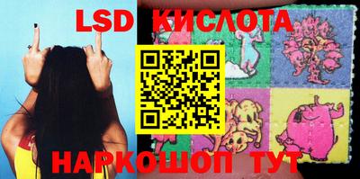 крисы Коммунар