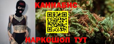 крисы Коммунар