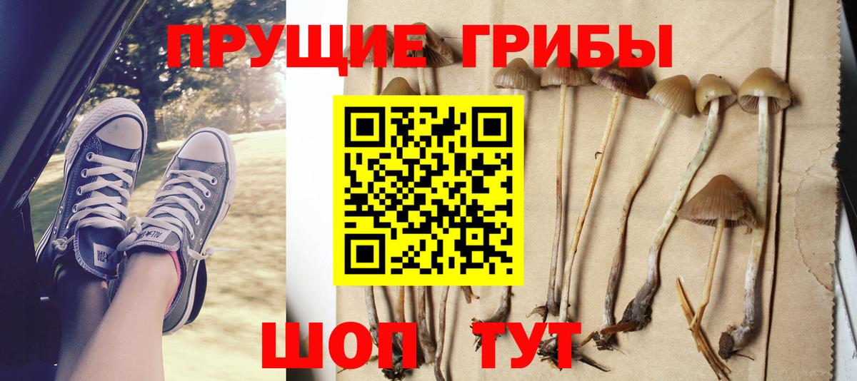 Псилоцибиновые грибы Psilocybe Изобильный