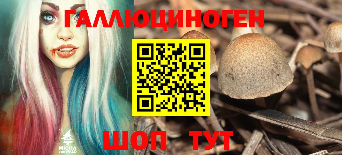 Псилоцибиновые грибы прущие грибы  Галлюциногенные грибы Magic Shrooms  Вход с VPN  Изобильный 